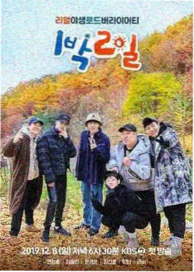 真人秀综艺节目海报